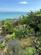 Additional image 7 of Ocean View Road, Ventnor, Isle of Wight