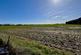 Additional image 22 of Curium Main Road Saltfleetby Louth LN11 7SS