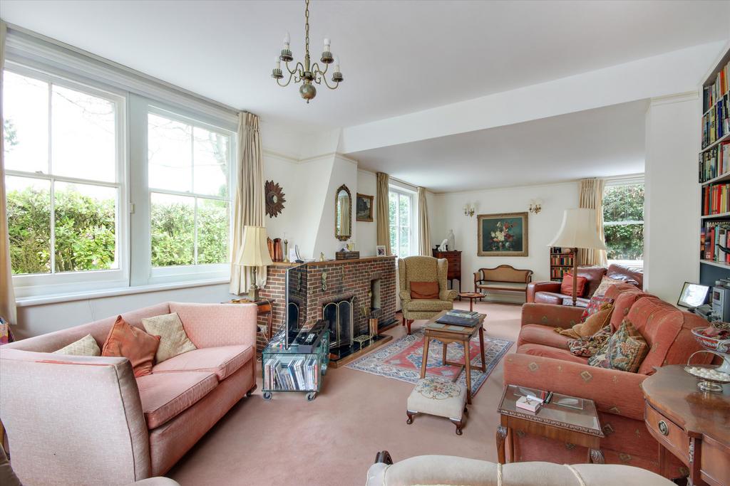 Living room, fireplace