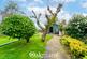 Additional image 38 of Frankley Green, Birmingham, Worcestershire, B32