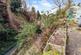Additional image 13 of Higher Odcombe, Yeovil