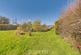 Additional image 28 of Paddys Lodge, Dinas Cross, Newport, SA42 0XD