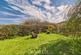 Additional image 29 of Paddys Lodge, Dinas Cross, Newport, SA42 0XD