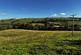 Additional image 4 of Land At Cae-Deial, Llanfihangel, Powys, SY22