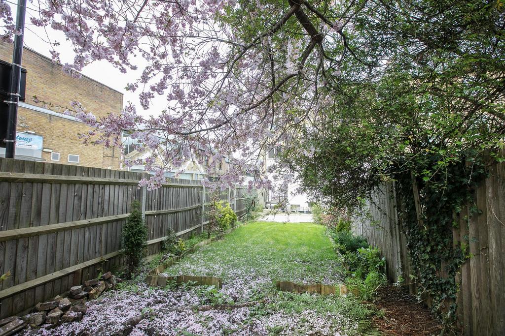 Garden view, garden