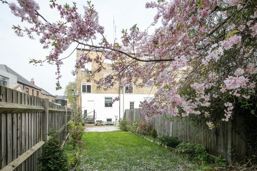Garden view, garden