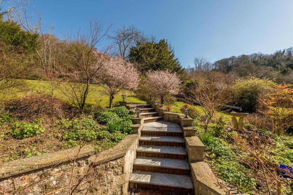 Garden view, garden