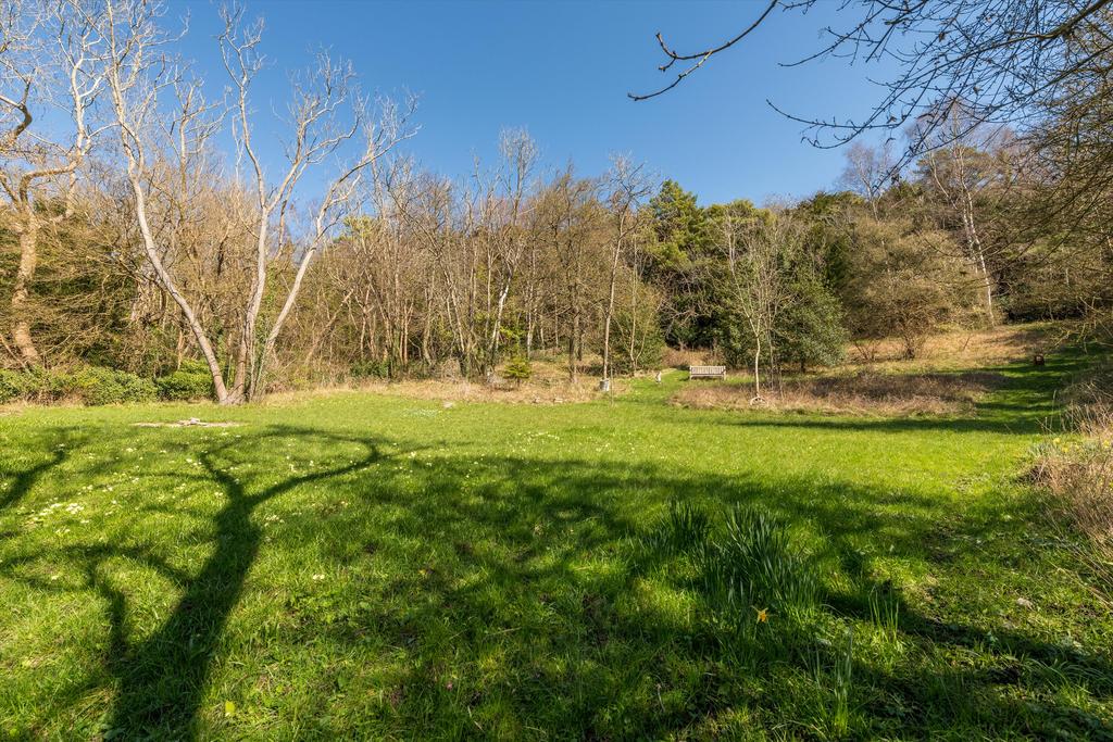 Garden view, garden