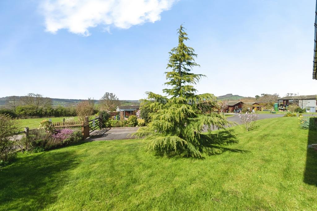 Garden view, garden