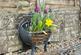 Additional image 33 of Cottage , Verwood, BH31 7AA