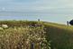 Additional image 48 of Redford, Sannox, Isle Of Arran