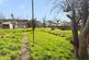 Additional image 13 of Brookville Drive, Neath SA10