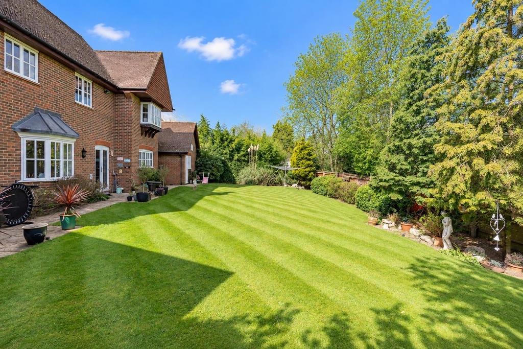 Garden view, garden
