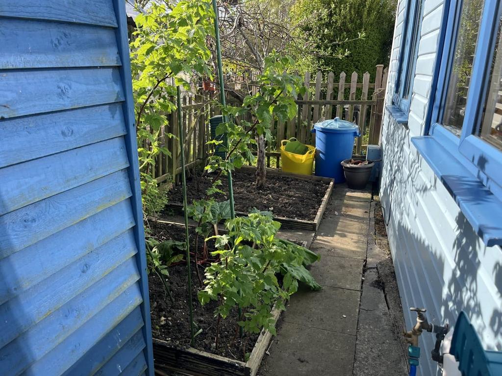 Garden view, garden