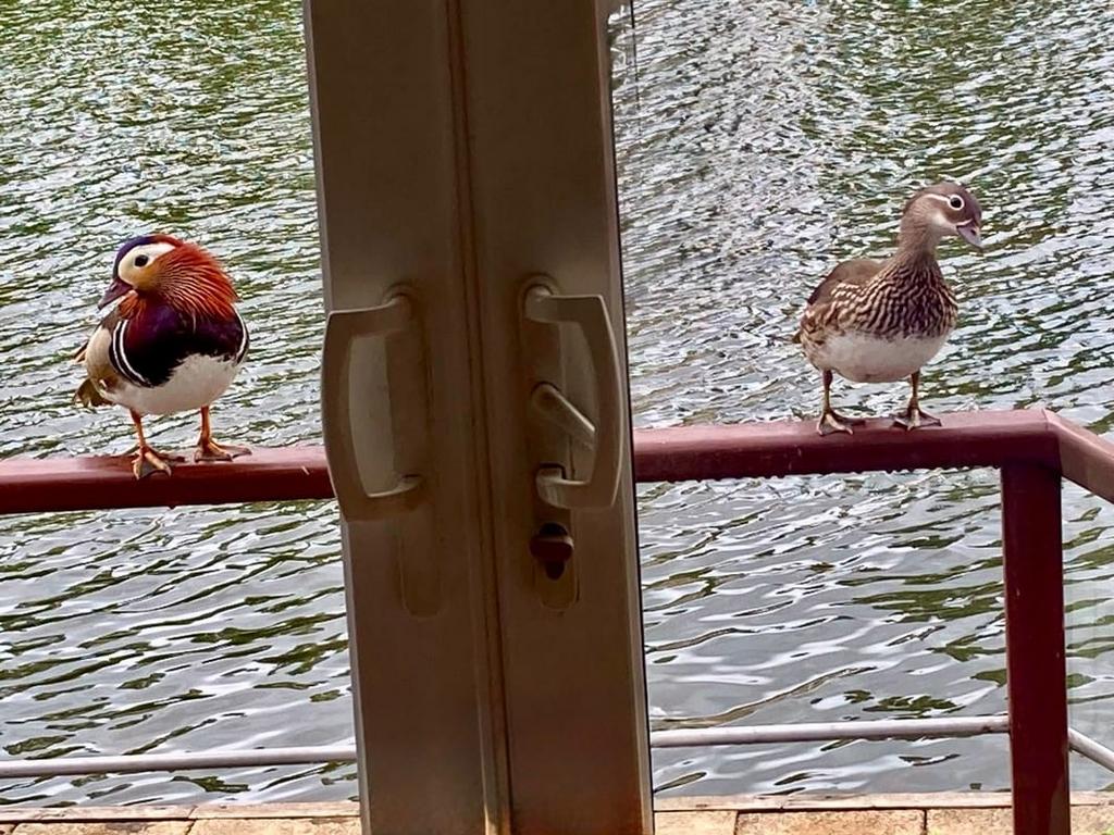 Balcony view