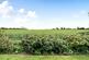 Additional image 5 of Hadlow Road East, Tonbridge, Kent