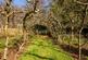 Additional image 29 of Merchiston Avenue, Merchiston, Edinburgh, EH10