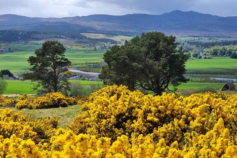 Land for sale, Land at  Tulloch Hill, Bonar Bridge, Ardgay, IV24 3AS