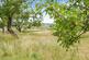 Additional image 33 of Bristol BS35