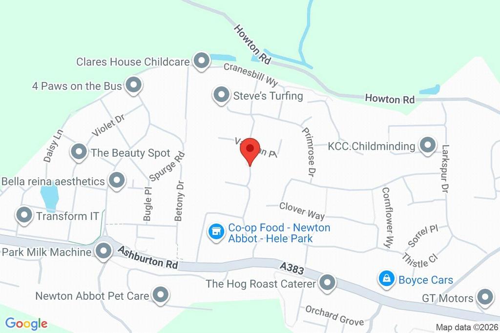 Google Maps Image