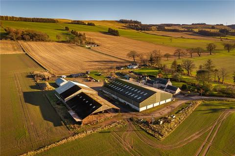undefined, East Nevay Farm, Eassie, Forfar, Angus, DD8