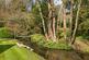 Additional image 25 of Albury, Guildford, Surrey, GU5