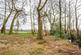 Additional image 22 of Bankhead Cottage, Canonbie, DG14