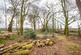 Additional image 23 of Bankhead Cottage, Canonbie, DG14