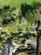 Additional image 24 of Heather Lane, Hayle TR27