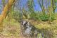 Additional image 22 of Woodland Holiday Park, Cromer Road, Norwich