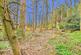 Additional image 23 of Woodland Holiday Park, Cromer Road, Norwich