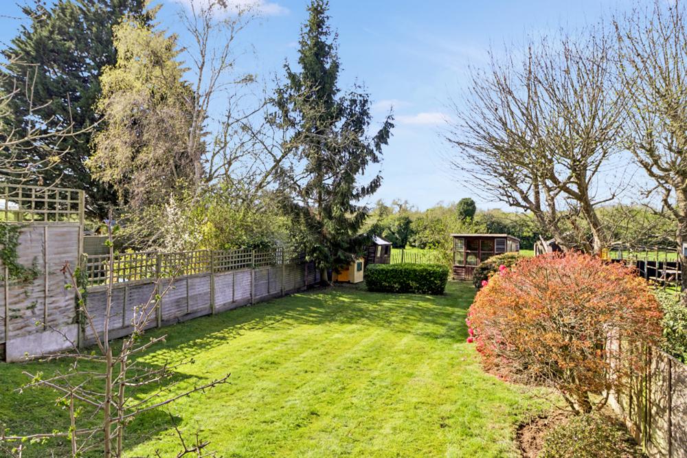 Garden view, garden