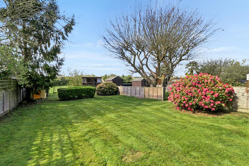 Garden view, garden