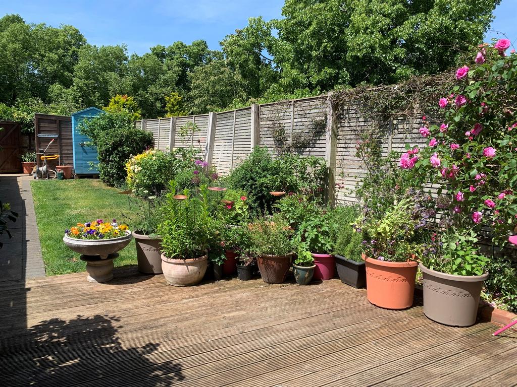 Garden view, garden