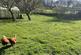 Additional image 16 of Steanbridge Lane, Slad, Stroud, GL6