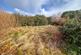 Additional image 27 of Aird Tong HS2