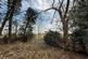 Additional image 11 of Grove Cottage, Frettenham Road, Hainford, Norwich, Norfolk NR10 3BW