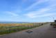 Additional image 6 of Bush Terrace, Musselburgh, EH21