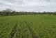 Additional image 18 of Grazing Land (8 Acres) off, Pool House Road, Wombourne, Staffordshire, WV5 8AY