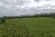 Additional image 19 of Grazing Land (8 Acres) off, Pool House Road, Wombourne, Staffordshire, WV5 8AY