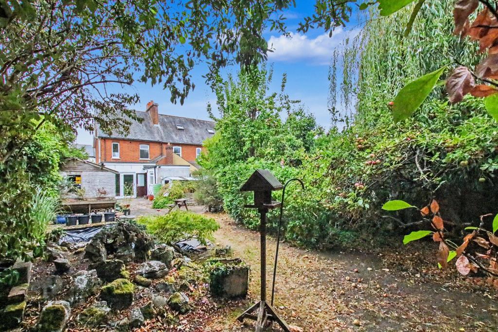 Garden view, garden