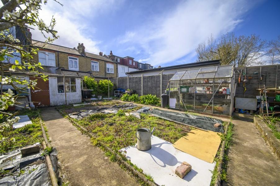 Garden view, garden
