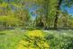 Additional image 37 of Lerryn,  Cornwall