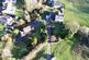 Additional image 36 of Bryncethin, Bridgend, CF32