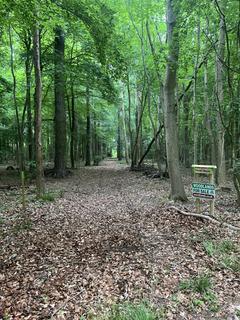 Woodland for sale, Steel Wood (about 6 acres), Broughton , Scunthorpe , Lincolnshire DN20