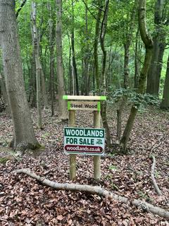 Woodland for sale, Steel Wood (about 6 acres), Broughton , Scunthorpe , Lincolnshire DN20