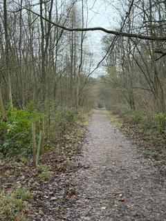 Woodland for sale, Kobis Wood (about 6 and a half acres), Broughton, Scunthorpe, Lincolnshire DN20