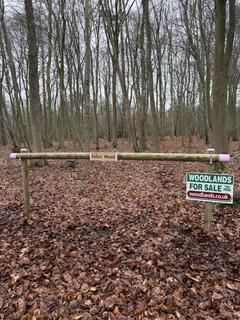 Woodland for sale, Kobis Wood (about 6 and a half acres), Broughton, Scunthorpe, Lincolnshire DN20