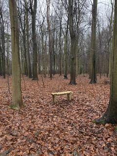 Woodland for sale, Kobis Wood (about 6 and a half acres), Broughton, Scunthorpe, Lincolnshire DN20