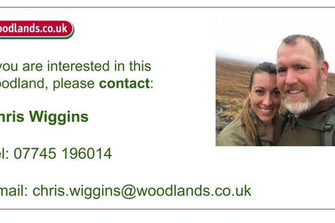 Woodland for sale, Kobis Wood (about 6 and a half acres), Broughton, Scunthorpe, Lincolnshire DN20
